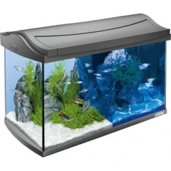 Tetra AquaArt LED Aquarium Komplettset Anthrazit -Heimtierbedarf Angebote 1000033554