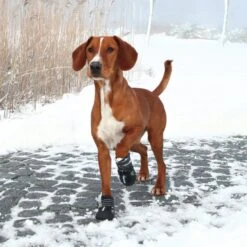 Trixie Pfotenschutz Walker Active