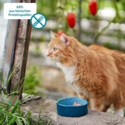 ZooRoyal Minkas Naturkost Adult Rind & Huhn Mit Kartoffeln & Sonnenblumenöl -Heimtierbedarf Angebote 1A 68 prozent aus tierischen proteinquellen5f92962f029be