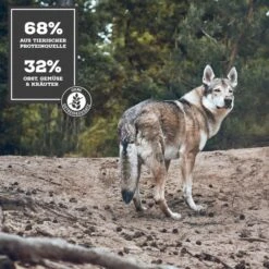 MOON Ranger Rind Mit Süßkartoffeln & Heidelbeeren -Heimtierbedarf Angebote 1b Konzept bei Nassfutter