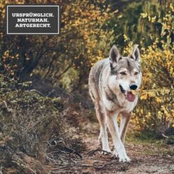 MOON Ranger Pferd Mit Pastinake -Heimtierbedarf Angebote 3 Ursprunglich Naturnah ArtgerechtMOYKCI1aR8ktp