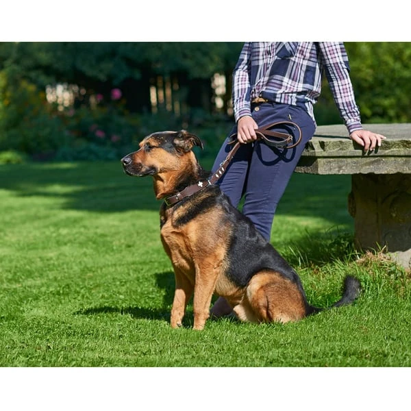 Hunter Verstellbare Führleine Swiss Braun/Schwarz 4 Hunter Verstellbare Führleine Swiss Braun/Schwarz – Bild 2