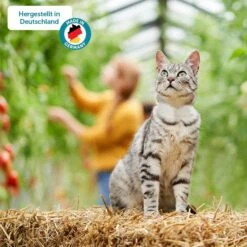 ZooRoyal Minkas Naturkost Adult Rind & Huhn Mit Kartoffeln & Sonnenblumenöl -Heimtierbedarf Angebote 5 hergestellt in deutschland5f9296341e787