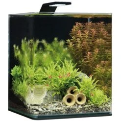 Dennerle NanoCube Basic Set 13 Dennerle NanoCube Basic Set -Heimtierbedarf Angebote Dennerle NanoCube Basic Style LED M 20l605caf4da747f