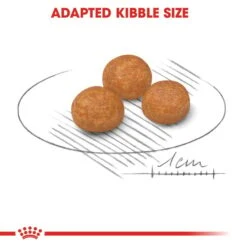 ROYAL CANIN X-SMALL Adult Trockenfutter Für Sehr Kleine Hunde 12 ROYAL CANIN X-SMALL Adult Trockenfutter Für Sehr Kleine Hunde -Heimtierbedarf Angebote Royal Canin Hundefutter xsmall Adult 4