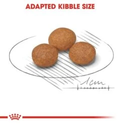 ROYAL CANIN X-SMALL Adult 8+ Trockenfutter Für ältere Sehr Kleine Hunde -Heimtierbedarf Angebote Royal Canin Hundefutter xsmall Adult 8plus 4