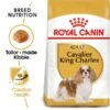 ROYAL CANIN Cavalier King Charles Adult Hundefutter Trocken 1 ROYAL CANIN Cavalier King Charles Adult Hundefutter Trocken -Heimtierbedarf Angebote RoyalCanin Hundefutter CavalierKingCharles 1