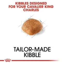 ROYAL CANIN Cavalier King Charles Adult Hundefutter Trocken -Heimtierbedarf Angebote RoyalCanin Hundefutter CavalierKingCharles 3