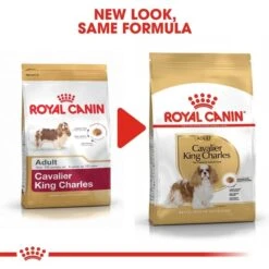 ROYAL CANIN Cavalier King Charles Adult Hundefutter Trocken -Heimtierbedarf Angebote RoyalCanin Hundefutter CavalierKingCharles 5