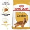ROYAL CANIN Cocker Adult Hundefutter Trocken 2 ROYAL CANIN Cocker Adult Hundefutter Trocken -Heimtierbedarf Angebote RoyalCanin Hundefutter Cocker 1
