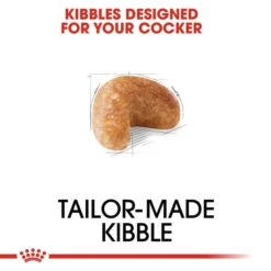 ROYAL CANIN Cocker Adult Hundefutter Trocken -Heimtierbedarf Angebote RoyalCanin Hundefutter Cocker 3