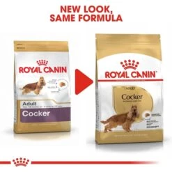 ROYAL CANIN Cocker Adult Hundefutter Trocken -Heimtierbedarf Angebote RoyalCanin Hundefutter Cocker 5