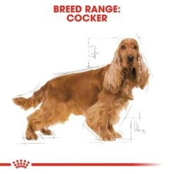 ROYAL CANIN Cocker Adult Hundefutter Trocken -Heimtierbedarf Angebote RoyalCanin Hundefutter Cocker 6