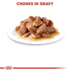 Royal Canin FCN Digest Sensitive Gravy -Heimtierbedarf Angebote RoyalCanin Katzenfutter DigestSensitive Nassfutter inSosse 35ddbce71f35b85f1ebd85b392c