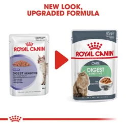 Royal Canin FCN Digest Sensitive Gravy -Heimtierbedarf Angebote RoyalCanin Katzenfutter DigestSensitive Nassfutter inSosse 65ddbce768027f5f1ebd88088bb