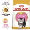 Royal Canin Katzenfutter Kitten Persian -Heimtierbedarf Angebote RoyalCanin Katzenfutter Persian Kitten 1