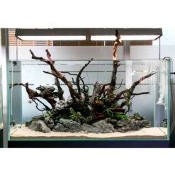 TWINSTAR 2 Aquarium-Sterilisator Nano -Heimtierbedarf Angebote ada aquarium sterilisator twinstar alle 5560e442cd86bc5a86dda4e00fe
