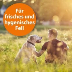 ARDAP Anti-Floh Shampoo Für Hunde 3x250ml -Heimtierbedarf Angebote ardap anti floh shampoo fur hunde 250ml 326DAv57u4lkrB