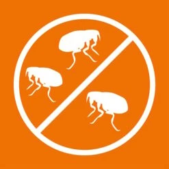 ARDAP Anti-Floh Shampoo Für Hunde 3x250ml -Heimtierbedarf Angebote ardap anti floh shampoo fur hunde 250ml 5JRkSnu8m20PQr