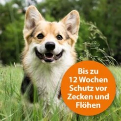 ARDAP Spot-On Für Hunde -Heimtierbedarf Angebote ardap spot on fur hunde 2