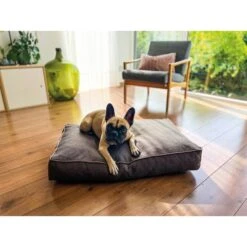 Aumüller Hundebett Basic Rechteckig 58 Cm -Heimtierbedarf Angebote aumueller hundebett basic rechteckig web 1BK7LMEjU8qi7s
