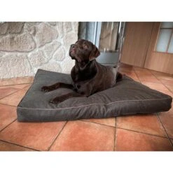Aumüller Hundebett Basic Rechteckig 58 Cm -Heimtierbedarf Angebote aumueller hundebett basic rechteckig web 4rDR4nwzsx6gyK