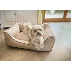 Aumüller Hundebett Sofa Basic 100 Cm 11 Aumüller Hundebett Sofa Basic 100 Cm -Heimtierbedarf Angebote aumueller hundebett sofa basic beige web 4