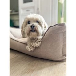 Aumüller Hundebett Sofa Basic 100 Cm 12 Aumüller Hundebett Sofa Basic 100 Cm -Heimtierbedarf Angebote aumueller hundebett sofa basic beige web 5