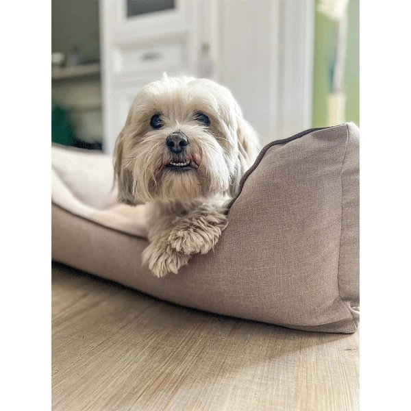 Aumüller Hundebett Sofa Basic 100 Cm 7 Aumüller Hundebett Sofa Basic 100 Cm – Bild 5
