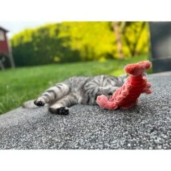 Aumüller Lucky Lobster Orange -Heimtierbedarf Angebote aumueller lucky lobster orange web 8