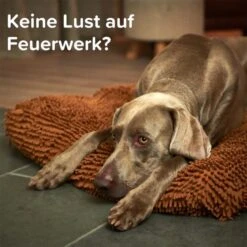 Beaphar CaniComfort® Wohlfühl-Spray Für Hunde 30ml 23 Beaphar CaniComfort® Wohlfühl-Spray Für Hunde 30ml -Heimtierbedarf Angebote beaphar canicomfort wohlfuhl spray fur hunde 30ml 11