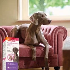 Beaphar CaniComfort® Wohlfühl-Spray Für Hunde 30ml 17 Beaphar CaniComfort® Wohlfühl-Spray Für Hunde 30ml -Heimtierbedarf Angebote beaphar canicomfort wohlfuhl spray fur hunde 30ml 5