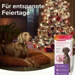 Beaphar CaniComfort® Wohlfühl-Spray Für Hunde 30ml 19 Beaphar CaniComfort® Wohlfühl-Spray Für Hunde 30ml -Heimtierbedarf Angebote beaphar canicomfort wohlfuhl spray fur hunde 30ml 7