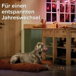 Beaphar CaniComfort® Wohlfühl-Spray Für Hunde 30ml 20 Beaphar CaniComfort® Wohlfühl-Spray Für Hunde 30ml -Heimtierbedarf Angebote beaphar canicomfort wohlfuhl spray fur hunde 30ml 8