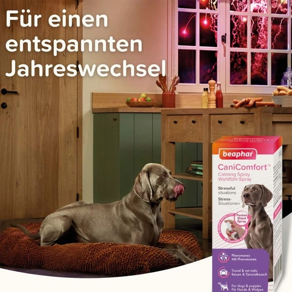 Beaphar CaniComfort® Wohlfühl-Spray Für Hunde 30ml 11 Beaphar CaniComfort® Wohlfühl-Spray Für Hunde 30ml – Bild 9