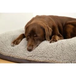 Beeztees Orthopädisches Memory Foam Lounge Hundekissen Ruba 100 X 70 Cm 7 Beeztees Orthopädisches Memory Foam Lounge Hundekissen Ruba 100 X 70 Cm -Heimtierbedarf Angebote beeztees orthopadisches memory foam lounge hundekissen ruba 3