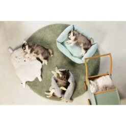 Beeztees Puppy Kuschelspielzeug -Heimtierbedarf Angebote beeztees puppy kuschelspielzeug doggy grau 1