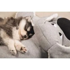 Beeztees Puppy XL-Kuschelspielzeug Boomba -Heimtierbedarf Angebote beeztees puppy xl kuschelspielzeug boomba 2