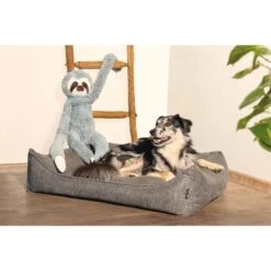 Beeztees XL Hundespielzeug Plüsch Faultier Mees Grau -Heimtierbedarf Angebote beeztees xl hundespielzeug plusch faultier mees grau 2