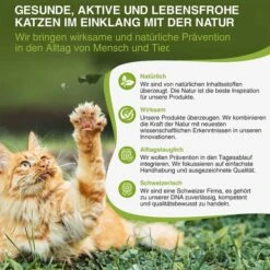 Bogaprotect Spot-On Katze -Heimtierbedarf Angebote bogaprotect spot on katze s 5r363BjL8SXue3