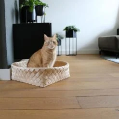 D&D Home Kuschelbett Bodhi Dunkelgrau 52x52x15cm -Heimtierbedarf Angebote d d home kuschelbett bodhi dunkelgrau 52x52x15cm web 2