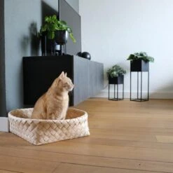 D&D Home Kuschelbett Bodhi Dunkelgrau 52x52x15cm -Heimtierbedarf Angebote d d home kuschelbett bodhi dunkelgrau 52x52x15cm web 3