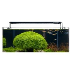 Dennerle Aquarium LED Trocal Flat -Heimtierbedarf Angebote dennerle trocal flat led 35 web 3