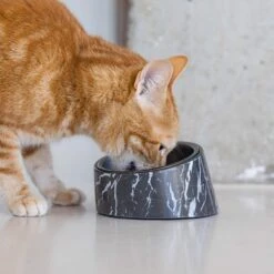 Designed By Lotte Melamin Katzennapf Vita -Heimtierbedarf Angebote designedbylotte katzennapf vita schwarz 4