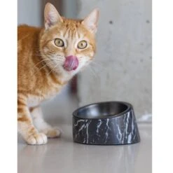 Designed By Lotte Melamin Katzennapf Vita -Heimtierbedarf Angebote designedbylotte katzennapf vita schwarz 5