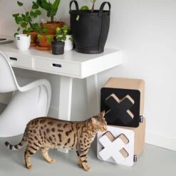 District 70 Kratzpappe Treasure Schwarz 10 District 70 Kratzpappe Treasure Schwarz -Heimtierbedarf Angebote district 70 kratzpappe treasure schwarz 4