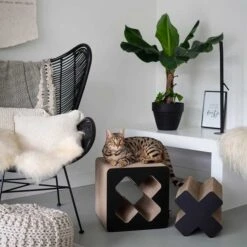 District 70 Kratzpappe Treasure Schwarz 11 District 70 Kratzpappe Treasure Schwarz -Heimtierbedarf Angebote district 70 kratzpappe treasure schwarz 5