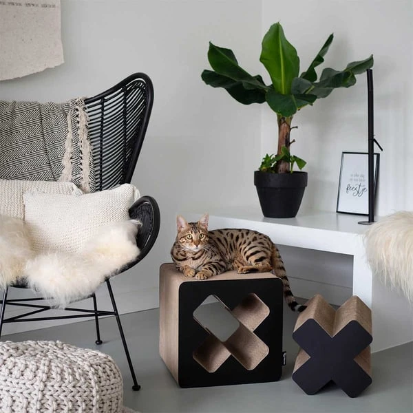 District 70 Kratzpappe Treasure Schwarz 7 District 70 Kratzpappe Treasure Schwarz – Bild 5