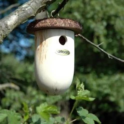 Dobar Nistkasten Eichel Mit Rindendach Aus Kiefer -Heimtierbedarf Angebote dobar wildlife nistkasten eichel 2