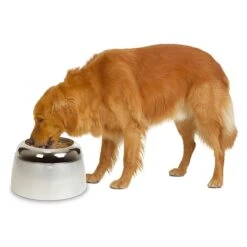 Dogit Erhöhter Futternapf Für Hunde -Heimtierbedarf Angebote dogit erhoehter futternapf fuer hunde 2